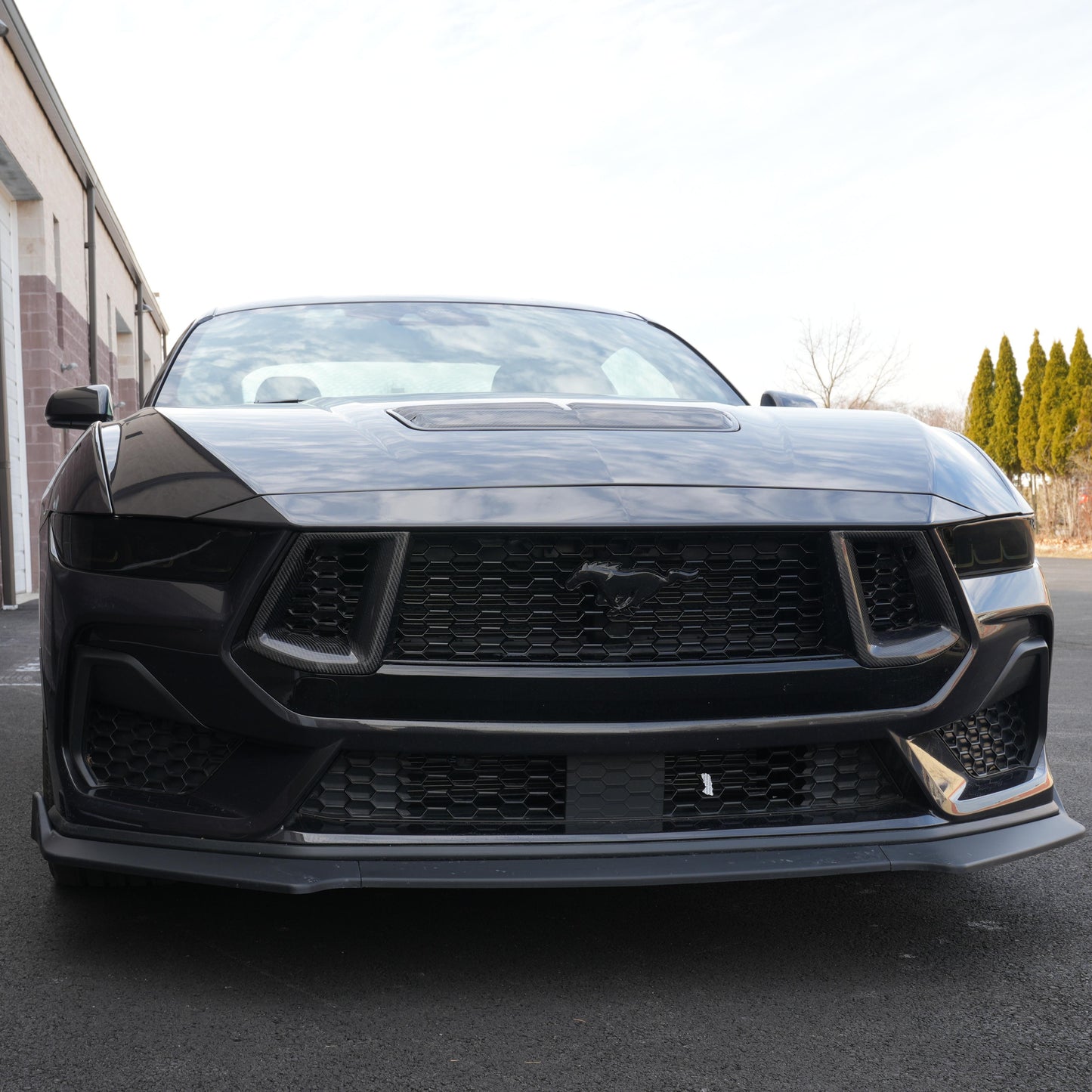 JSD Dry Carbon Fiber Grille Inserts; (24-25 Mustang GT)