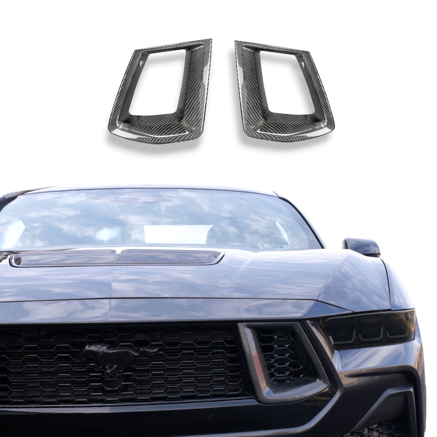 JSD Dry Carbon Fiber Grille Inserts; (24-25 Mustang GT)