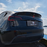 Tint My Light Smoked Acrylic Taillight Covers for Tesla Model 3 2016-2023& Model Y 2021+